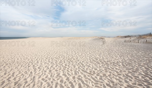 Scenic view of beach