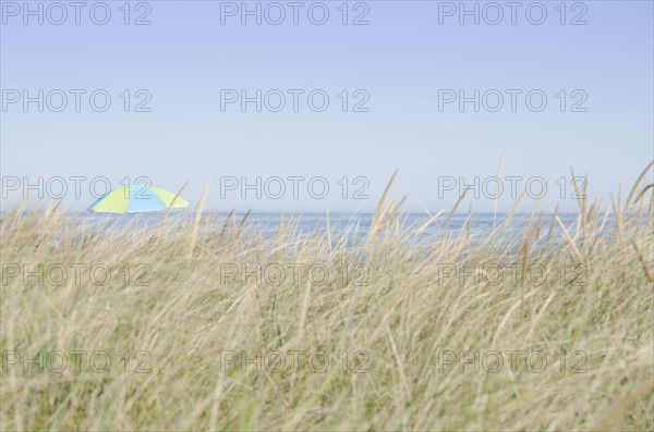 View of beach umbrella by sea