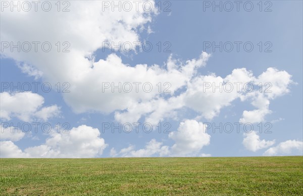 Field of grass and sky