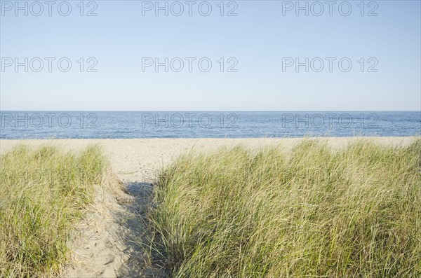 Path leading to beach