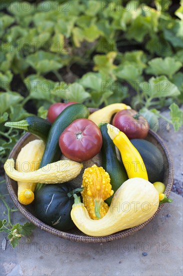 Stack of vegetables in bowl