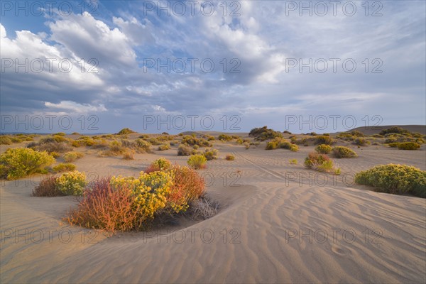 Scenic view of landscape