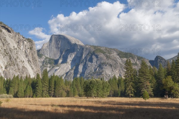 Scenic view of landscape