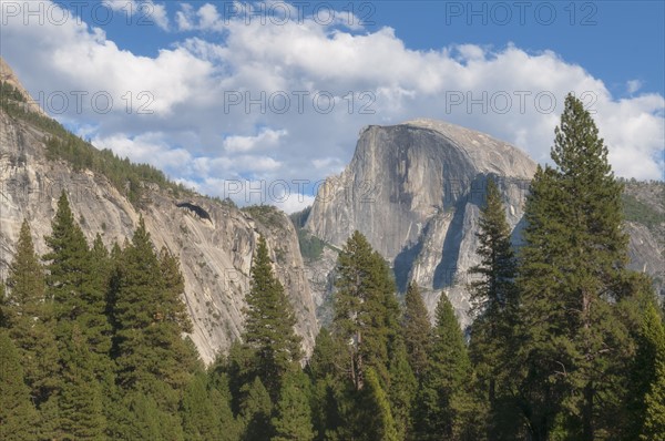 Scenic view of landscape