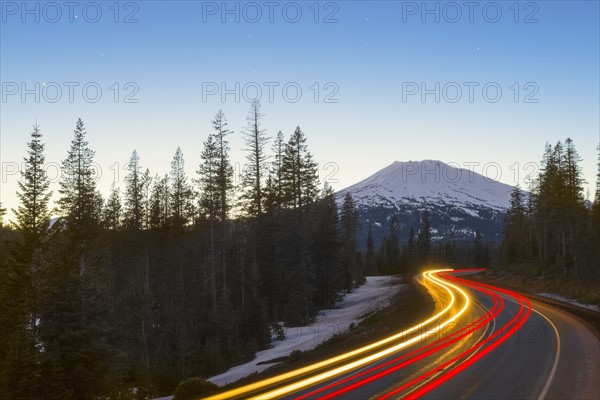 View of light trail on road in forest