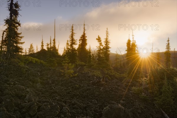 Scenic view of landscape at sunset