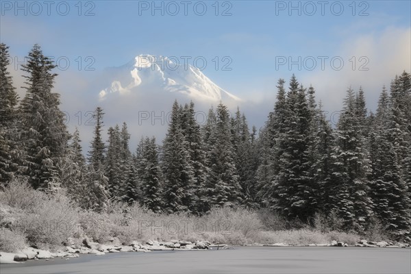 Scenic view of winter landscape