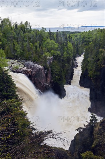 Scenic view of waterfall