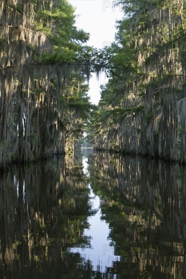 Scenic view of lake