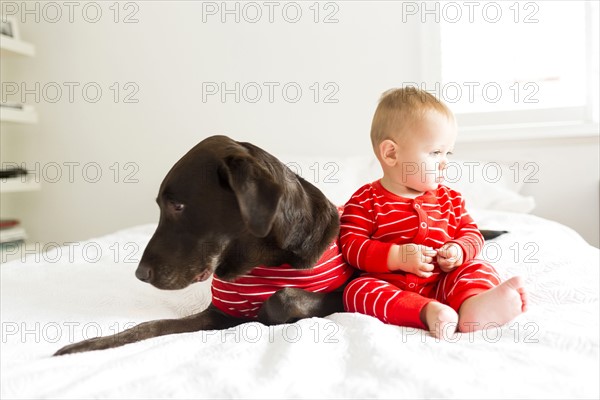 Boy (2-3) with dog in bedroom