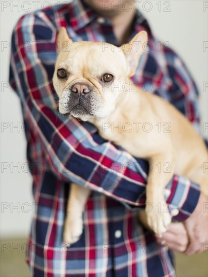 Man holding pug