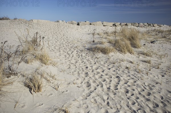 Footprints in sand