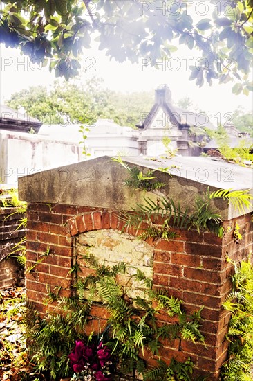 Tomb in old cemetery