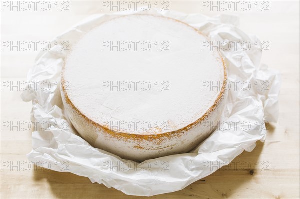 Close up of cheese circle