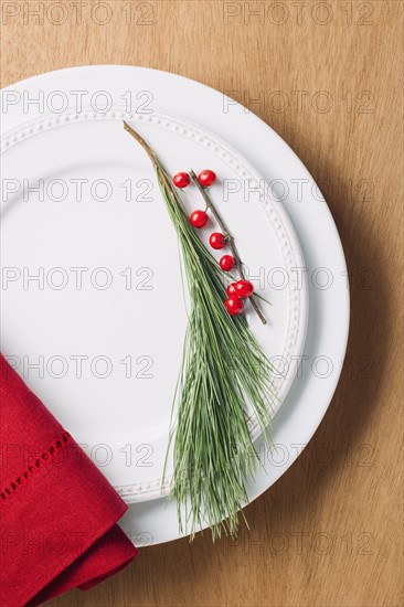 Elevated view of twig on plate