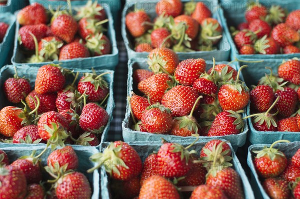 Crates of strawberries