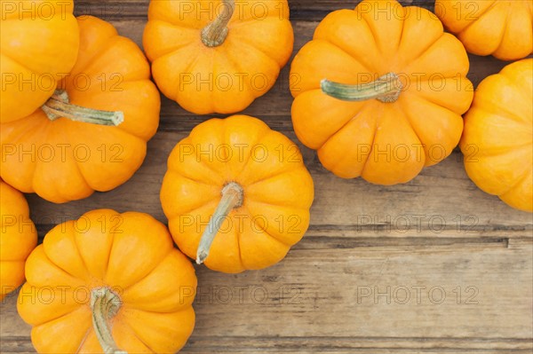 Overhead view of yellow pumpkins