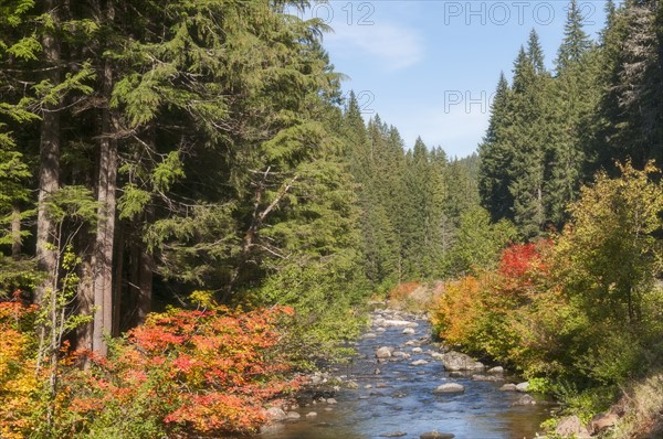 View North Satiam River