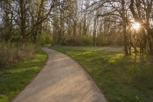 Footpath in park