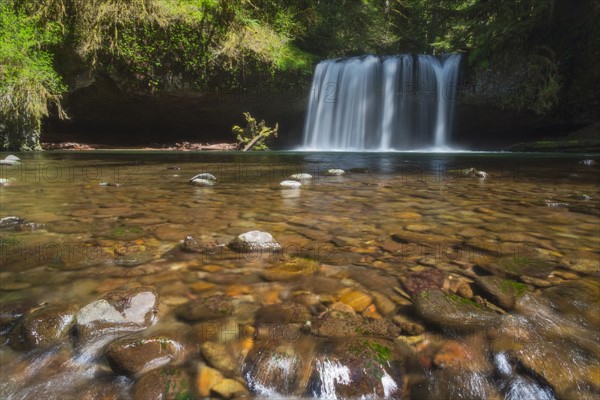 View of Butte Creek Falls