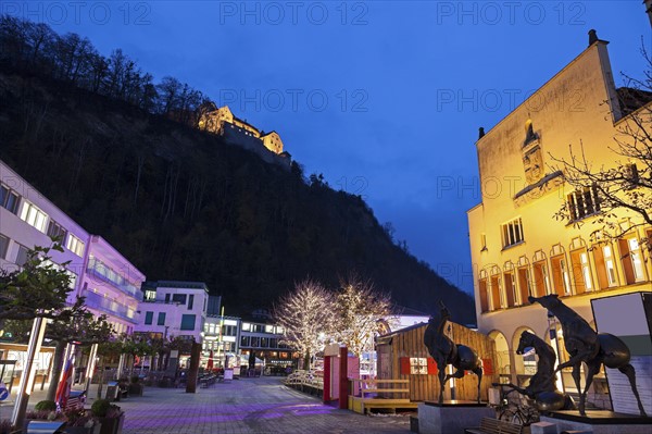 Town Hall and Vaduz Castle