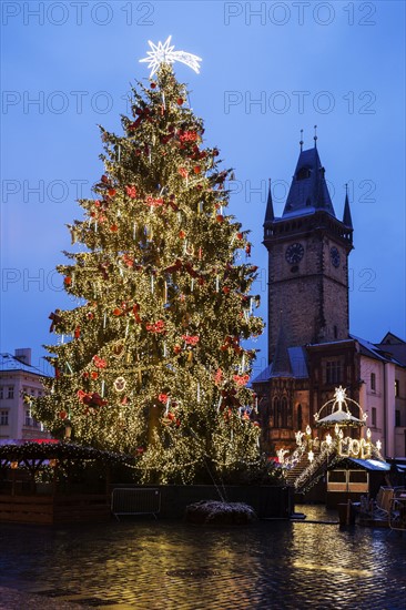 Christmas tree at night