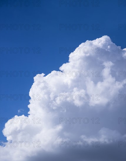 View of puffy cloud formations.