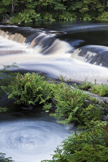 Whirlpool in river