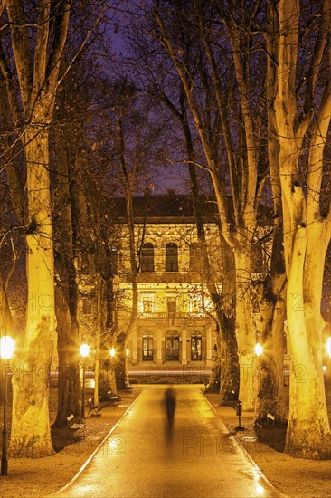 Illuminated treelined alley