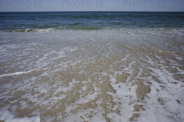 View of sea from beach