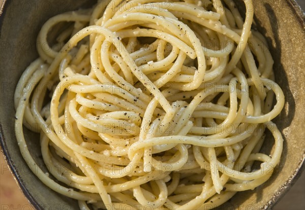 Studio shot of spaghetti alla cacio e pepe