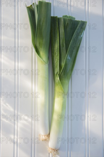 Leeks on white