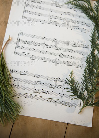 Note sheet and coniferous twigs on wood