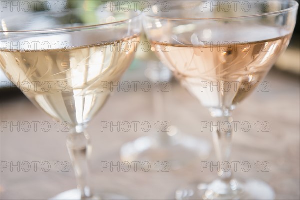 Two white wine glasses