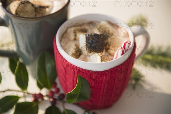 Studio shot of hot cocoa