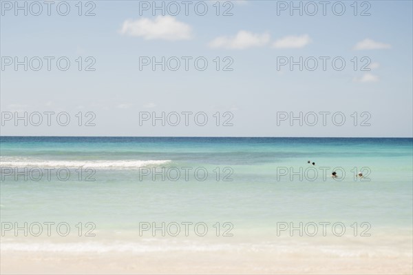 View of tranquil tropical beach