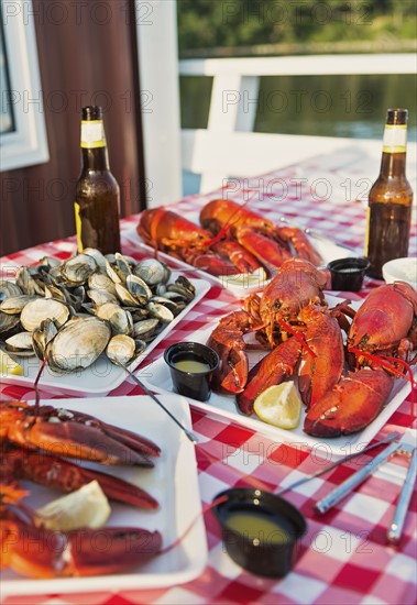 View of table with lobster meal