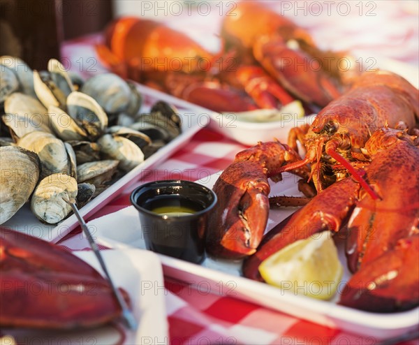 View of table with lobster meal