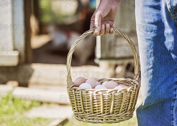 Farmer carrying basket with eggs