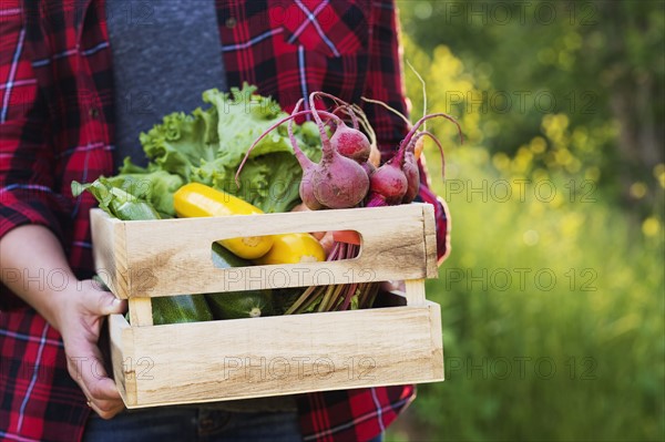 Female farmer carrying crate with vegetables