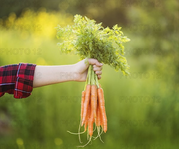 Woman holding bunch of carrots