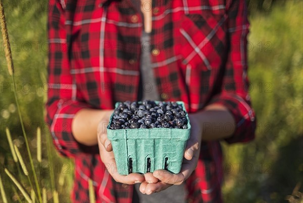 Mid section of woman holding punnet of blueberries