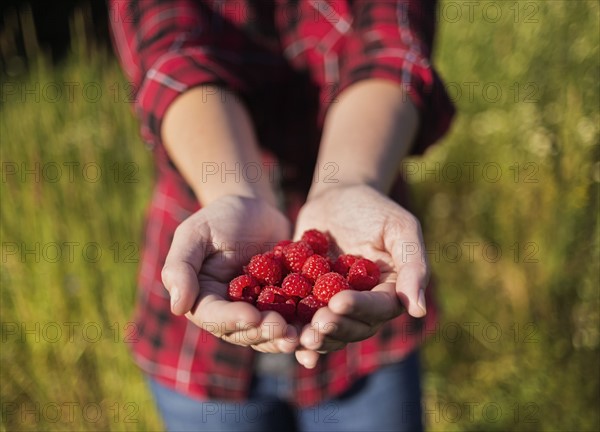 Mid section of woman holding raspberries in hands