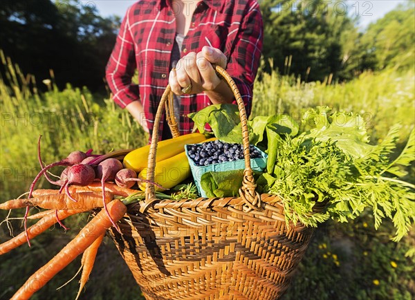 Mid section of woman holding basket with vegetables and fruits