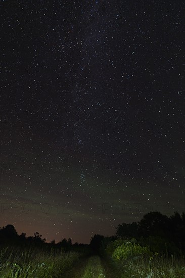 View of starry sky from dirt road at night