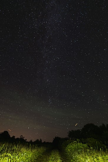 View of starry sky from dirt road at night