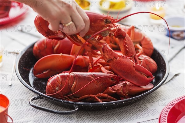 Person taking lobster from plate