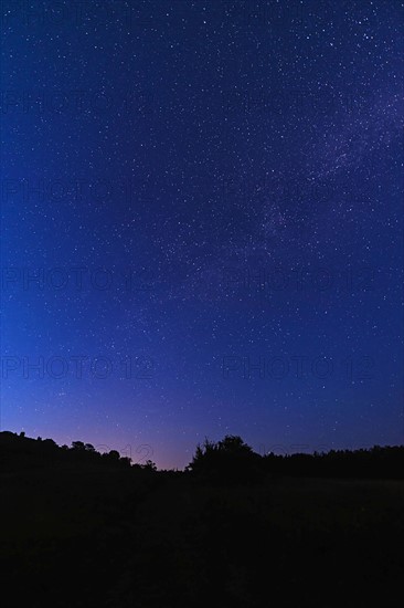 Starry sky at night