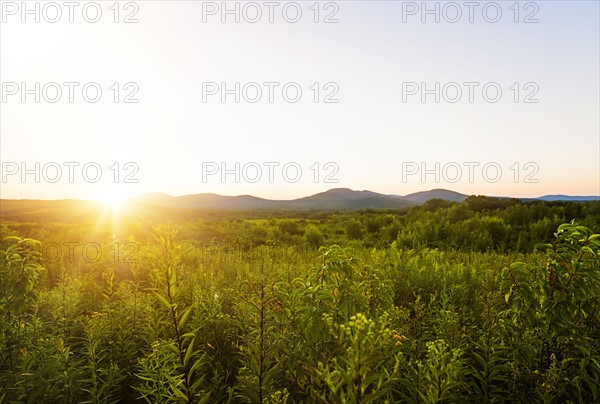 Green valley at sunset