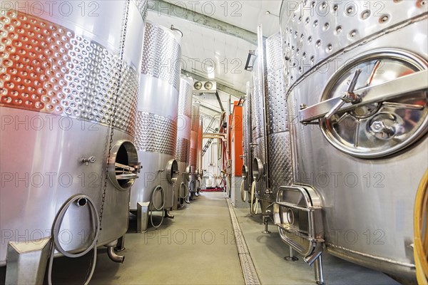 Stainless steel tanks in winery cellar